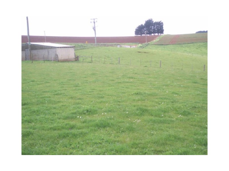 599 Tollymore Road, Table Cape TAS 7325