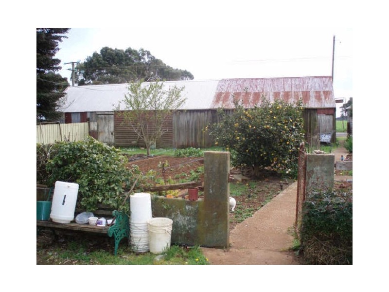 599 Tollymore Road, Table Cape TAS 7325