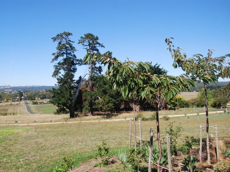 66 Table cape Road, Wynyard TAS 7325