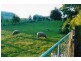 1 Table Cape Road, Wynyard TAS 7325