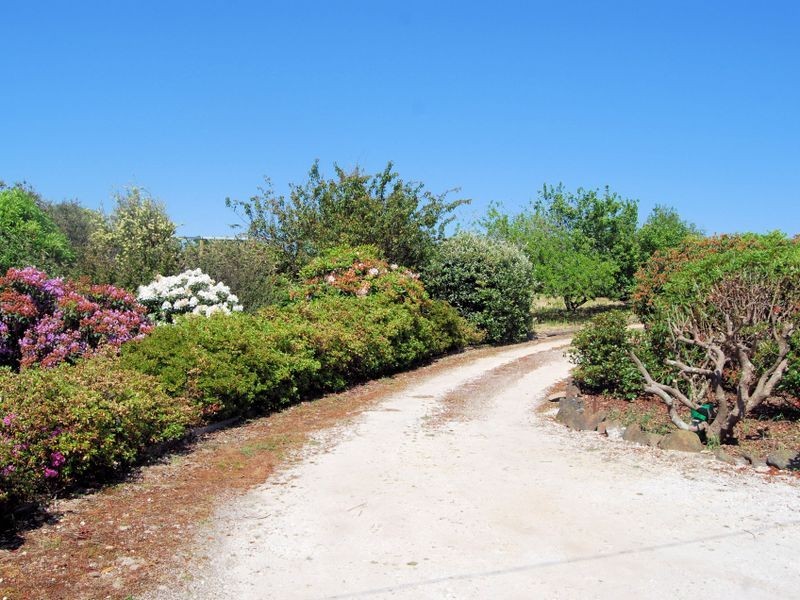 141 Village Lane, Somerset TAS 7322