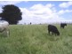 141 Village Lane, Somerset TAS 7322