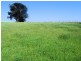 141 Village Lane, Somerset TAS 7322