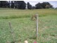 1213 Mount Hicks Road, Mount Hicks TAS 7325