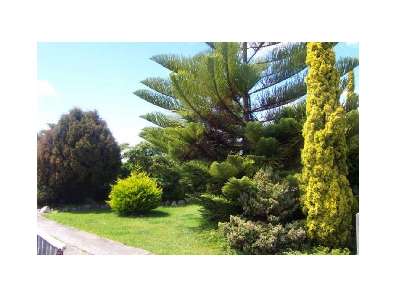 33 Jackson Street, Wynyard TAS 7325