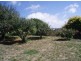 88 Preolenna Road, Flowerdale TAS 7325