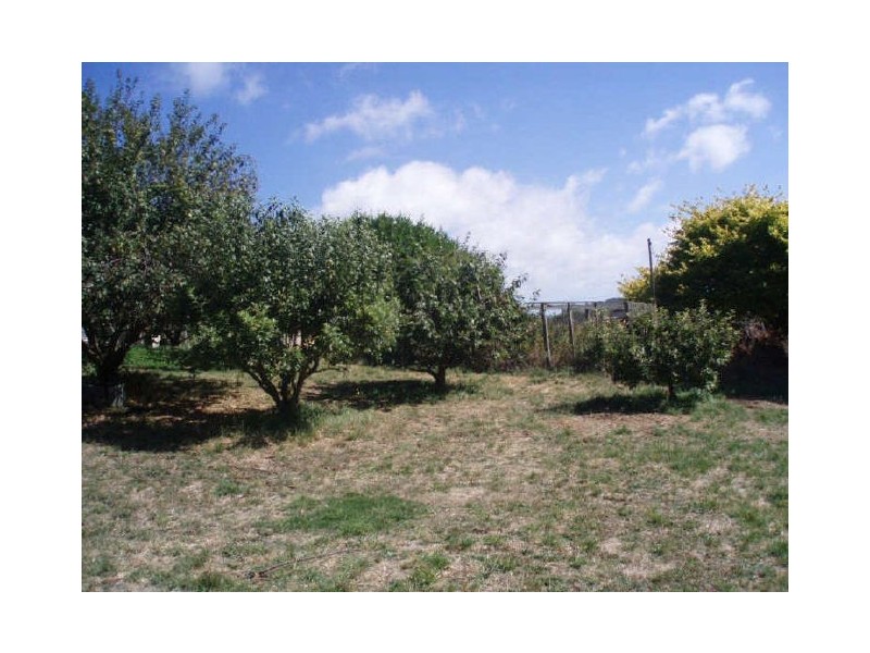 88 Preolenna Road, Flowerdale TAS 7325