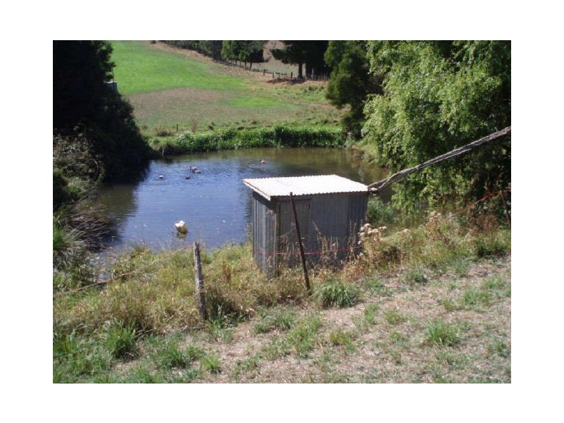 88 Preolenna Road, Flowerdale TAS 7325