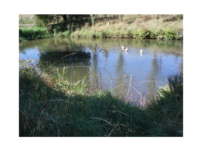 88 Preolenna Road, Flowerdale TAS 7325