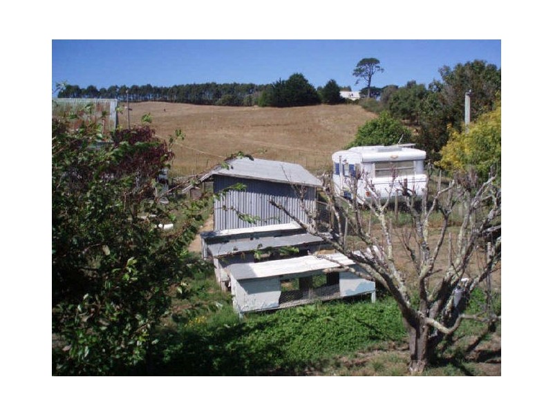 88 Preolenna Road, Flowerdale TAS 7325