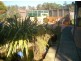 184 Reservoir Drive, Wynyard TAS 7325