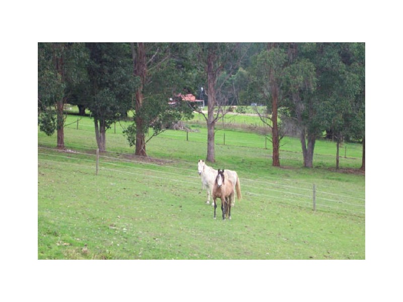 208 Deep Creek Road,, Wynyard TAS 7325