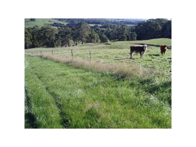 35 Dallas Road, Somerset TAS 7322