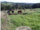 35 Dallas Road, Somerset TAS 7322