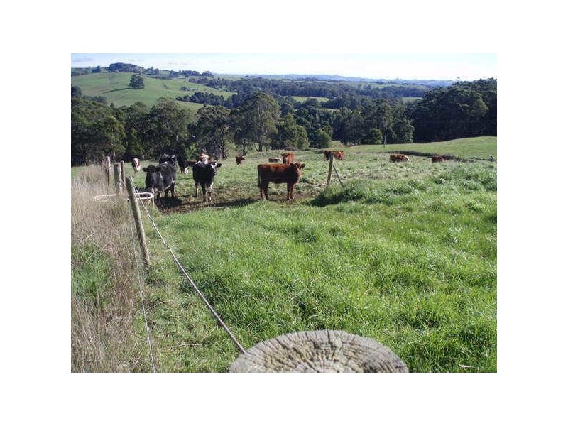 35 Dallas Road, Somerset TAS 7322