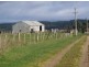 585 Deep Creek Road, Wynyard TAS 7325