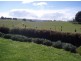 605 Deep Creek Road, Wynyard TAS 7325