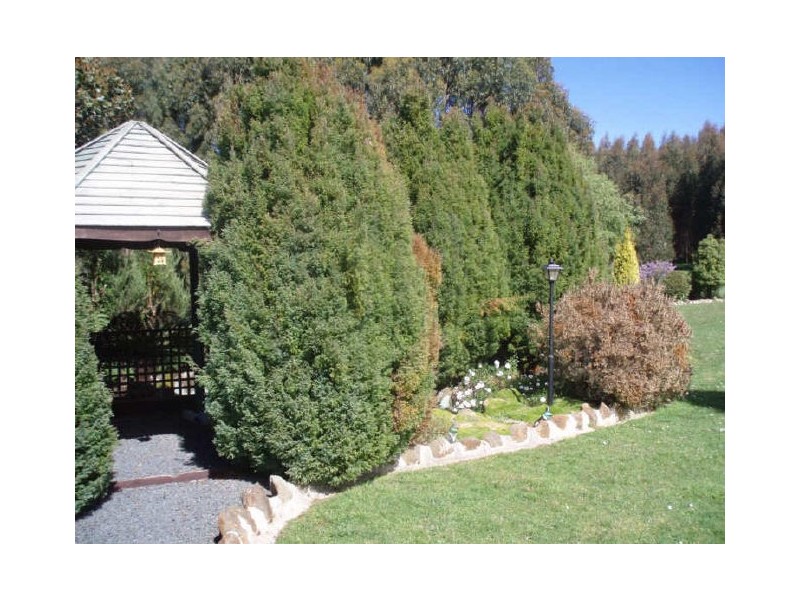 1155 Deep Creek Road, Wynyard TAS 7325