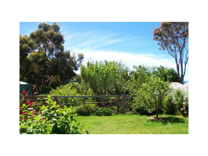 449 Mount Hicks Road, Wynyard TAS 7325