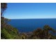 444 Tollymore Road, Table Cape TAS 7325