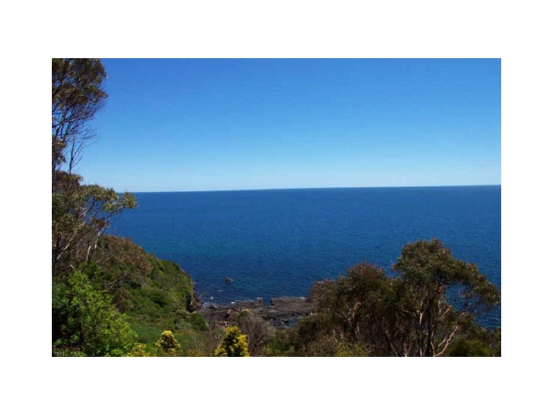 444 Tollymore Road, Table Cape TAS 7325