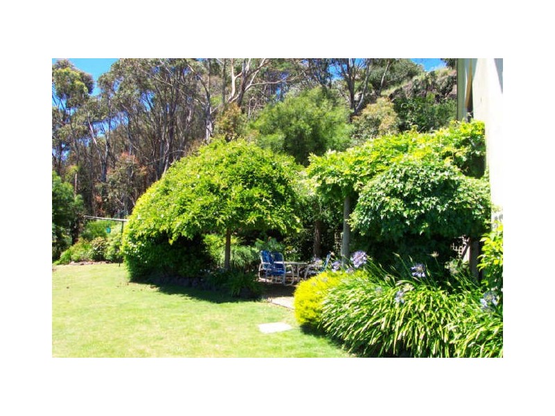 444 Tollymore Road, Table Cape TAS 7325