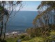 444 Tollymore Road, Table Cape TAS 7325