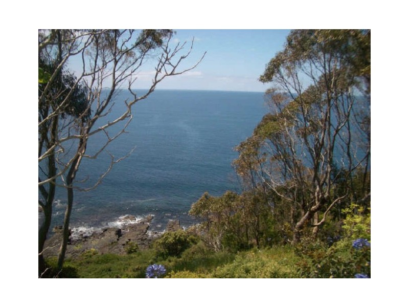 444 Tollymore Road, Table Cape TAS 7325