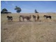 Lot 3 Stennings Road, Wynyard TAS 7325