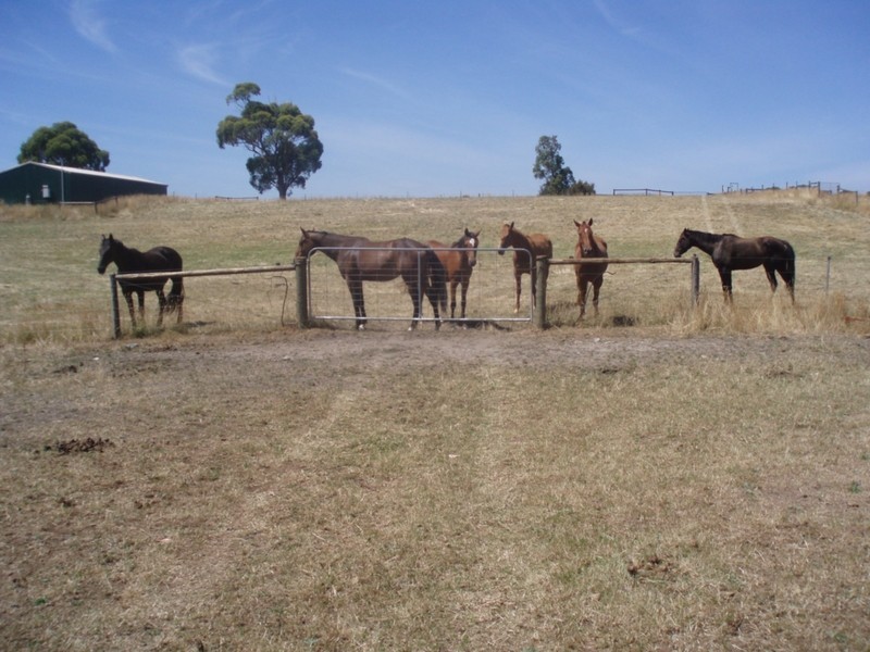 Lot 3 Stennings Road, Wynyard TAS 7325
