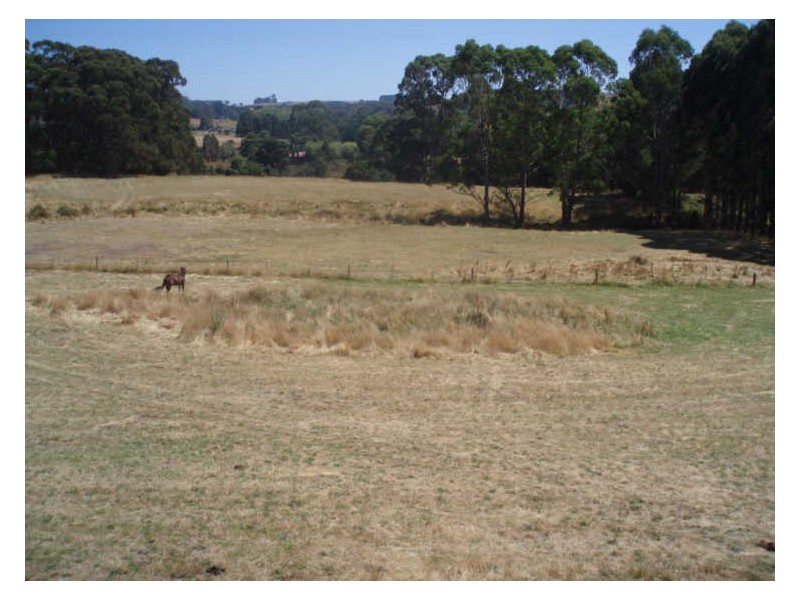 Lot 3 Stennings Road, Wynyard TAS 7325