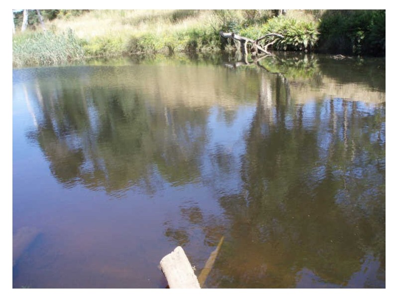 Lot 3 Stennings Road, Wynyard TAS 7325