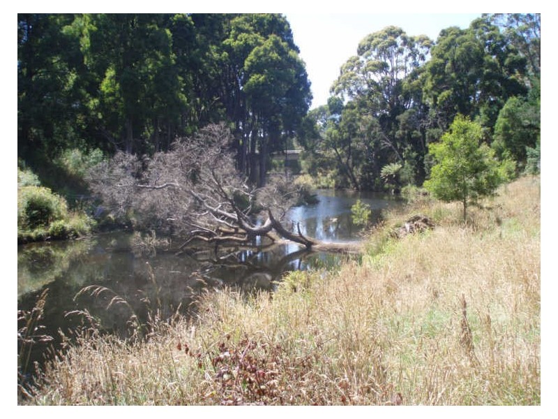 Lot 3 Stennings Road, Wynyard TAS 7325