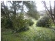 24 Gellibrand, Zeehan TAS 7469
