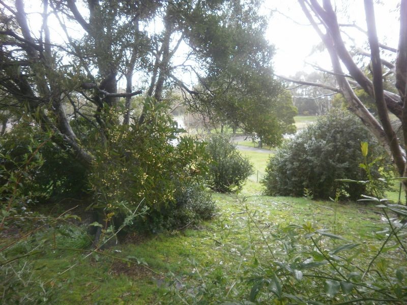 24 Gellibrand, Zeehan TAS 7469