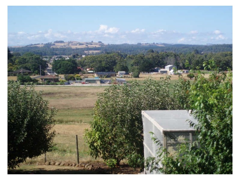 65 Table Cape Road, Wynyard TAS 7325