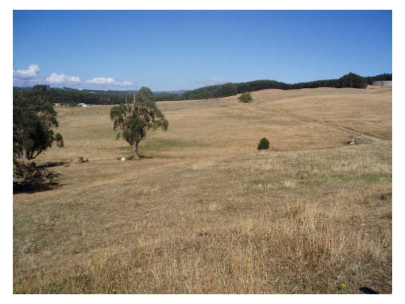65 Table Cape Road, Wynyard TAS 7325