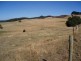 65 Table Cape Road, Wynyard TAS 7325