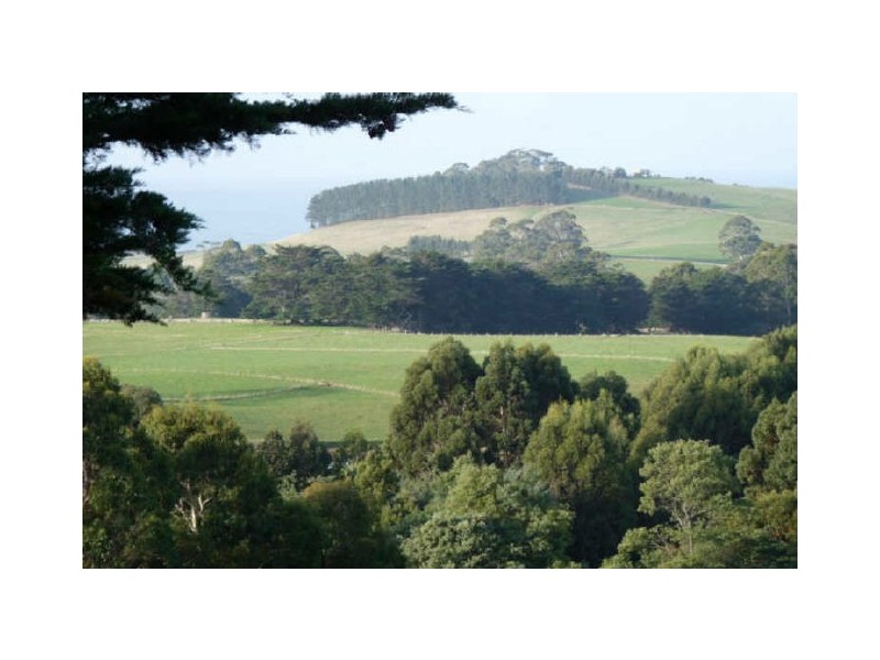 387 Mount Hicks Road, Wynyard TAS 7325