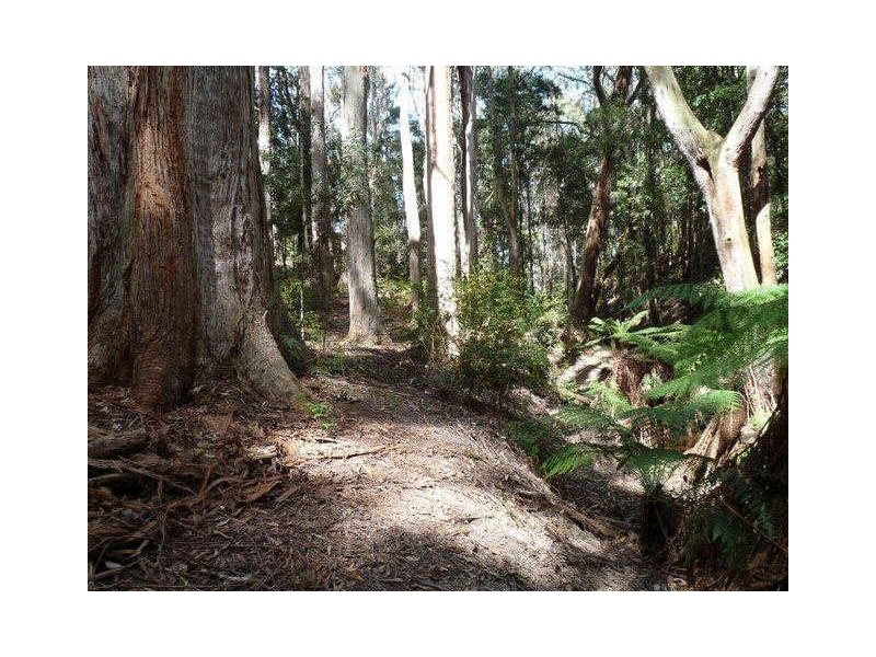 387 Mount Hicks Road, Wynyard TAS 7325