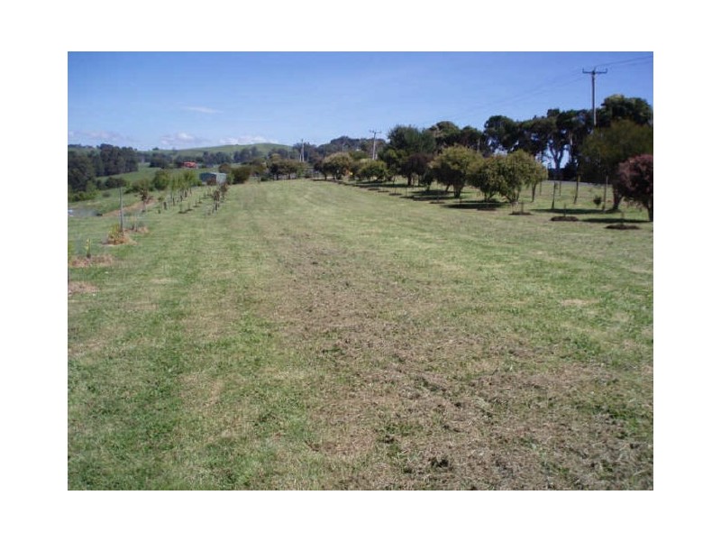 387 Mount Hicks Road, Wynyard TAS 7325