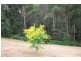 29 Max’s Road, Somerset TAS 7322