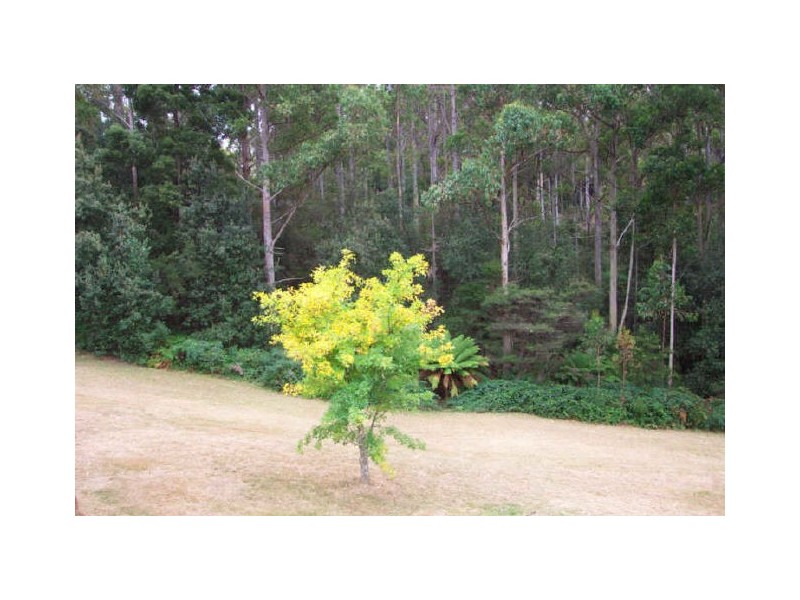 29 Max’s Road, Somerset TAS 7322