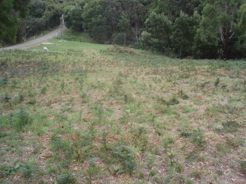 Lot 2, 55 Blackabys Road, Boat Harbour TAS 7321