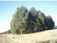 189 Robin Hill Road, Flowerdale TAS 7325
