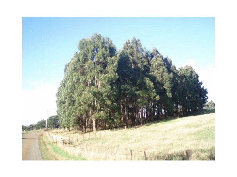 189 Robin Hill Road, Flowerdale TAS 7325