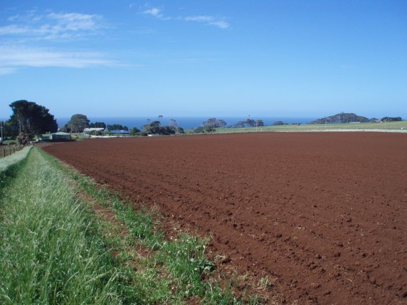 237 Tollymore Road, Wynyard TAS 7325