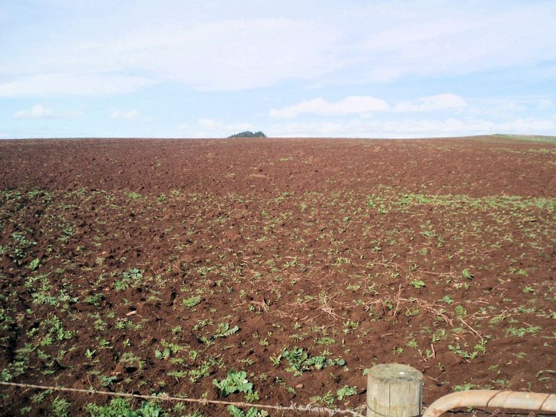 237 Tollymore Road, Wynyard TAS 7325