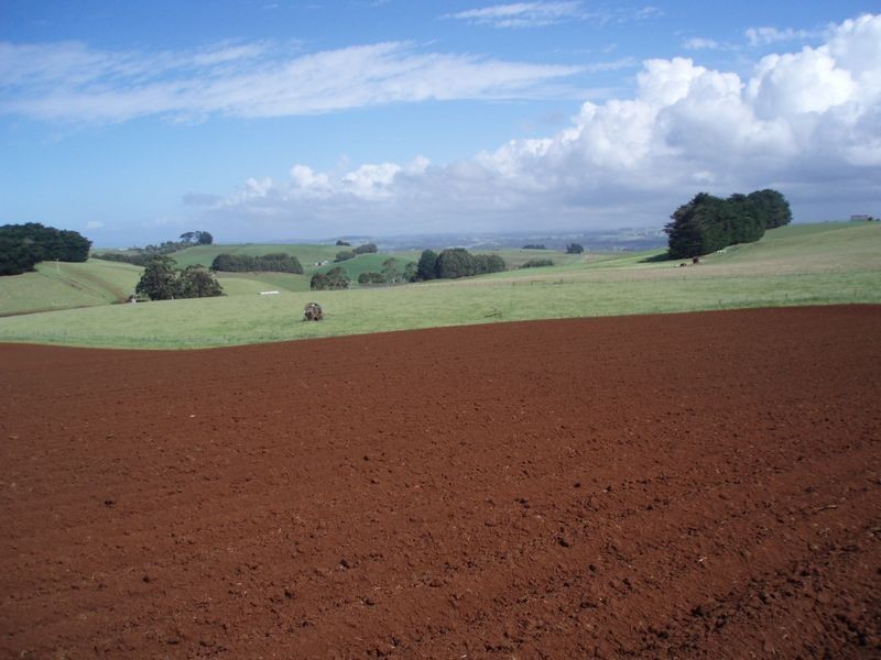 237 Tollymore Road, Wynyard TAS 7325