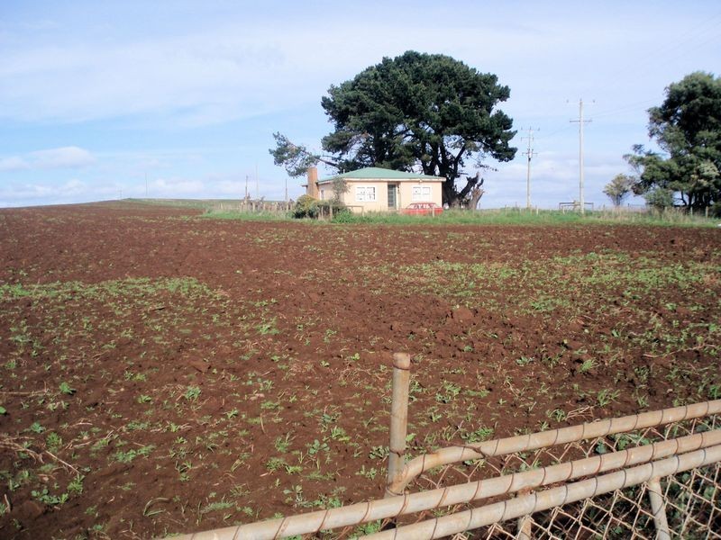 237 Tollymore Road, Wynyard TAS 7325